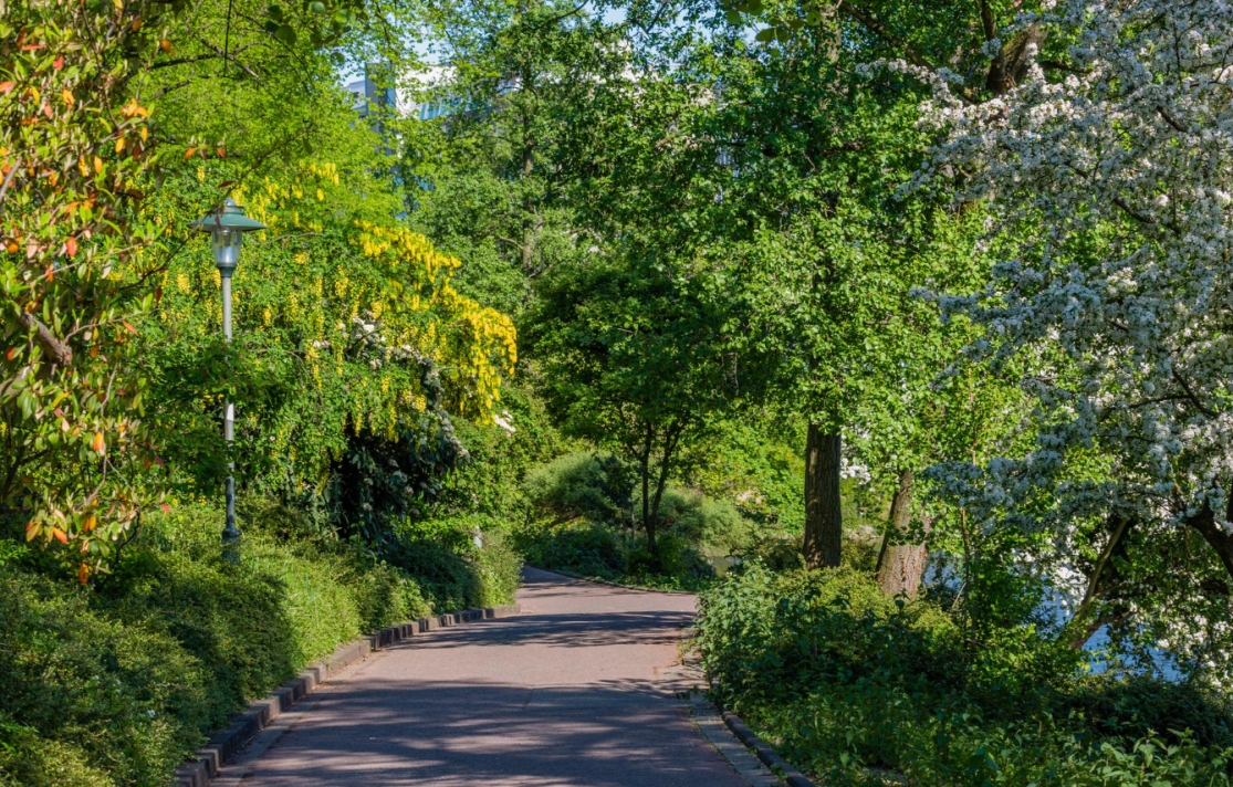 Karkonoski Park Narodowy: Pełne otwarcie szlaków od 15 czerwca