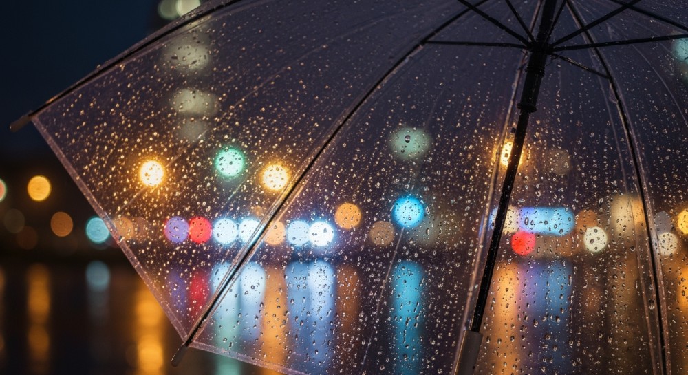 Konferencja ratunkowa: Polska i Czechy w walce ze zmianami klimatu