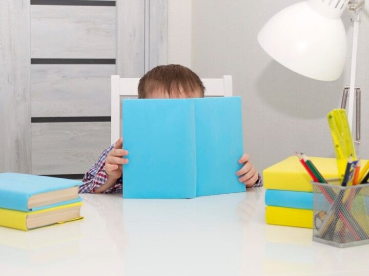 Edukacja obywatelska w działaniu: Konferencja w Jeleniej Górze