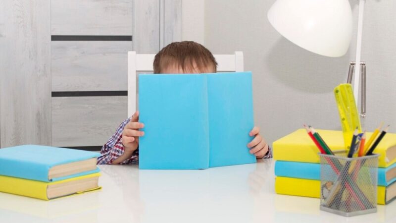 Edukacja obywatelska w działaniu: Konferencja w Jeleniej Górze