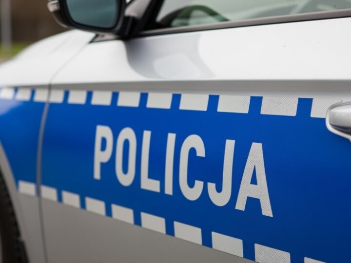 Zatrzymani złodzieje aut azjatyckich marek w wyniku współpracy policji i straży granicznej
