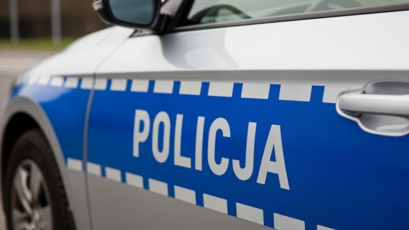 Zatrzymani złodzieje aut azjatyckich marek w wyniku współpracy policji i straży granicznej