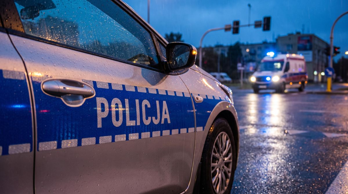 Policja w Jeleniej Górze rozbija nielegalną uprawę konopi – 600 krzewów i narkotyki w rękach stróżów prawa!